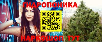 jwh Лесосибирск